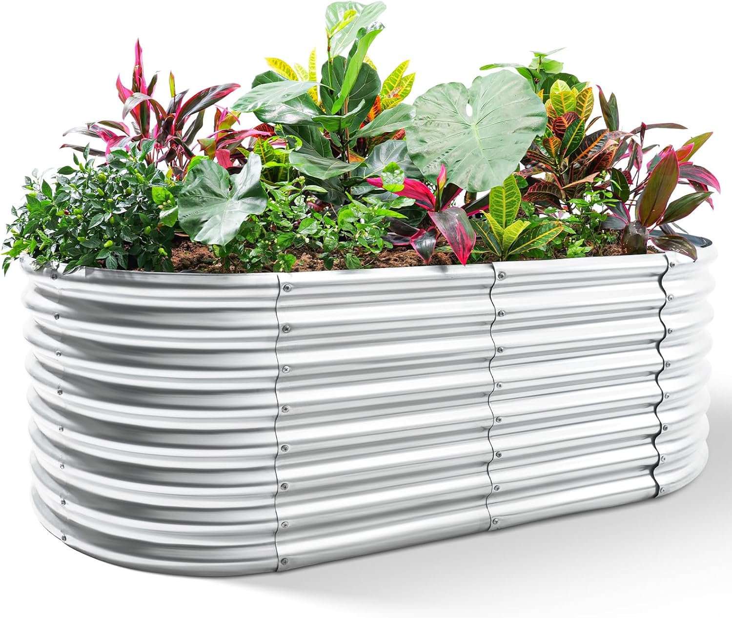 Galvanized Raised Garden Bed,  - Planter Raised Metal ulasan dan harga