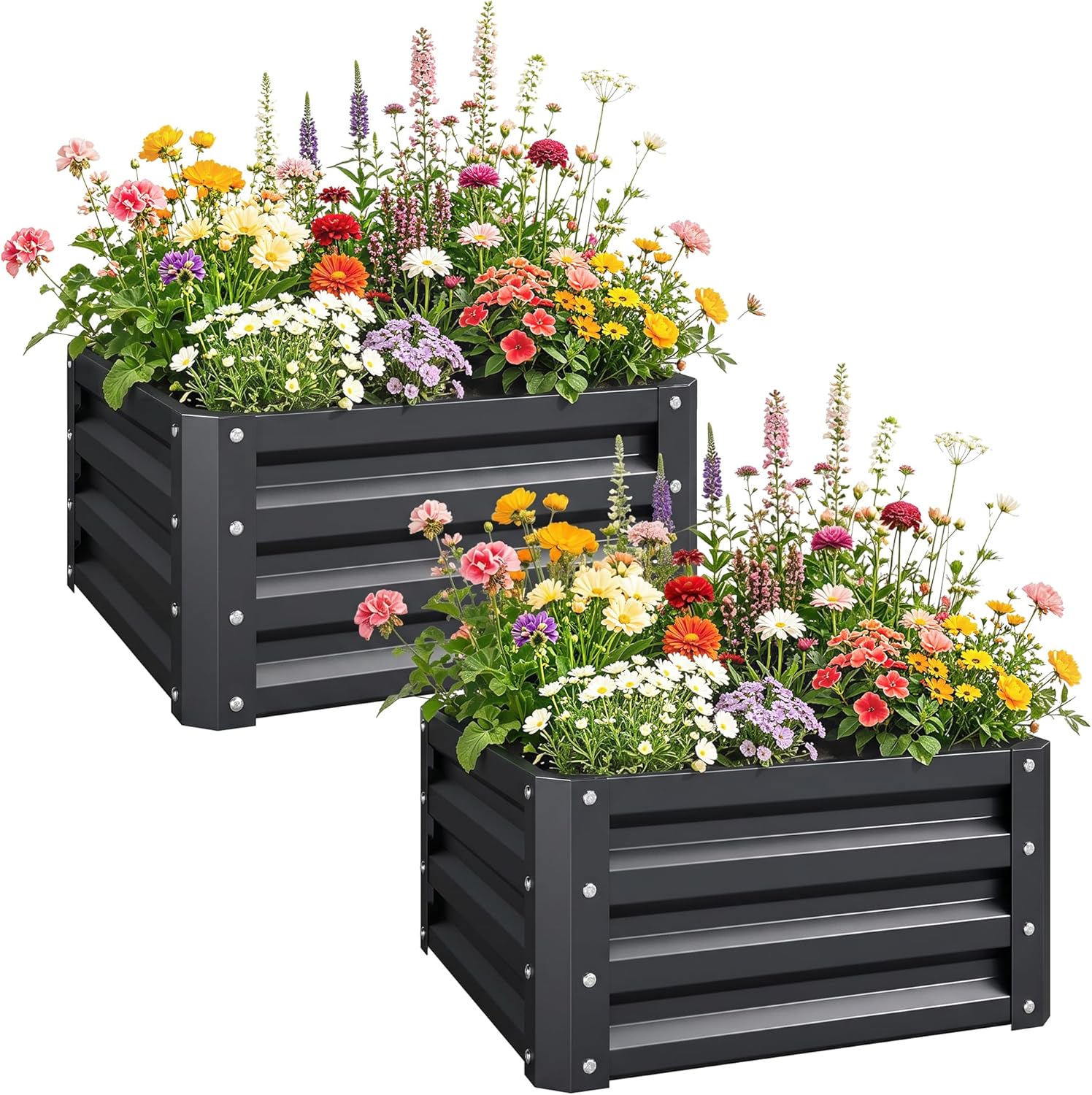 2 Piece Galvanized Raised Gard - Planter Raised Metal ulasan dan harga
