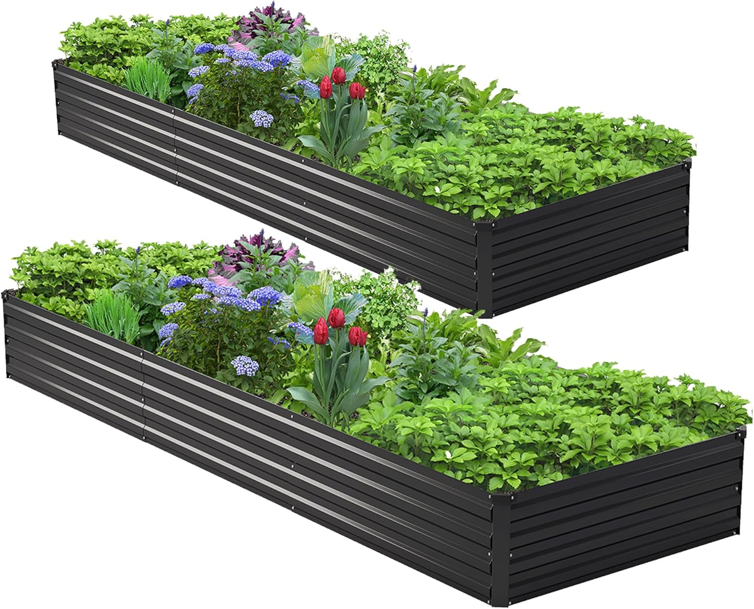 2PCS 10x3x1ft Galvanized Raise - Planter Raised Metal ulasan dan harga
